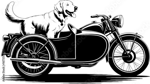 Golden Retriever Riding in Motorcycle Sidecar Fun and Adventure