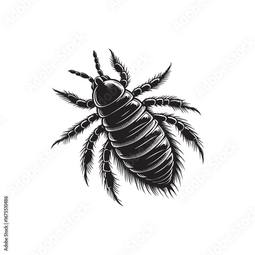 Louse Vector (2).eps