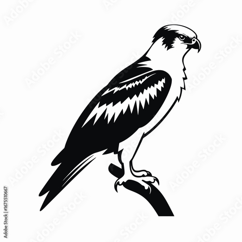 Regal raptor perched upon branch, bold monochromatic avian artwork silhouette
