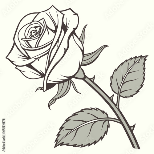 Elegant single rose bloom with leaves and thorns on a stem in a classic line art style