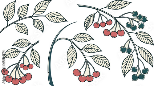 Modular corner-frame pack, separate line-art stems, leaves, berries for invitation assembly, vector groups, palette.