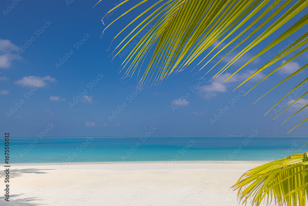 Obraz premium Tranquil tropical palm leaf over calm turquoise sea horizon sky clouds idyllic summer vacation stunning background exotic beach paradise scenic coastal landscape sunny serene tropical island getaway
