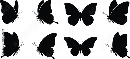 Butterfly silhouette collection, black and white vector set, symmetrical wing shapes, insect anatomy illustration, entomology reference chart,