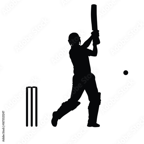 Cricket player batting with ball and wickets vector