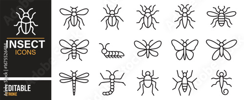 Outline insect vector pack – butterfly, worm, beetle, bee, and bug designs