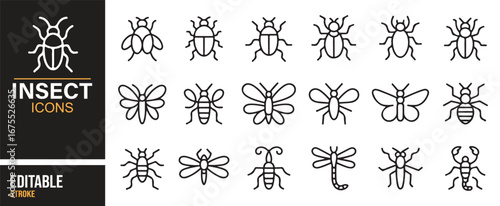 Entomology insect icons set – vector bugs, ants, dragonflies, and moths
