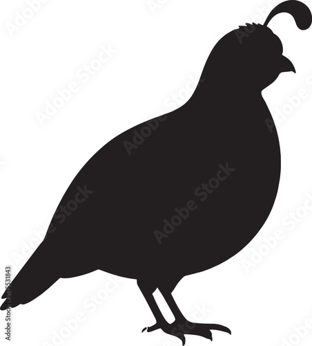 Ground Grace – Silhouette of Quail with Crest, Wildlife, Nature, Abstract, Bird, Ornithology