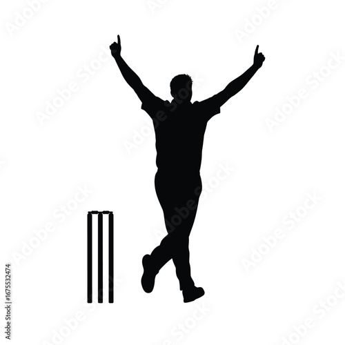 Celebratory bowler raising arms near wicket cricket
