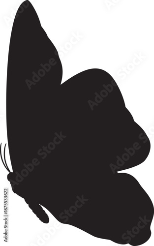 Winged Grace – Silhouette of Butterfly in Side Profile, Nature, Abstract, Minimalist, Insect, Elegant