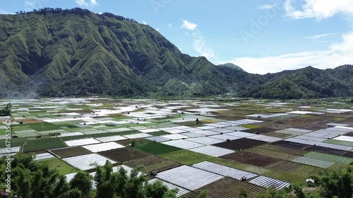 Aerial view of rice fields and mountainscape from Selong Hill, Sembalun Lawang, Lombok, West Nusa Tenggara, Indonesia.