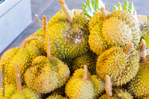 Beautiful and delicious durian. Background, texture, advertising space.