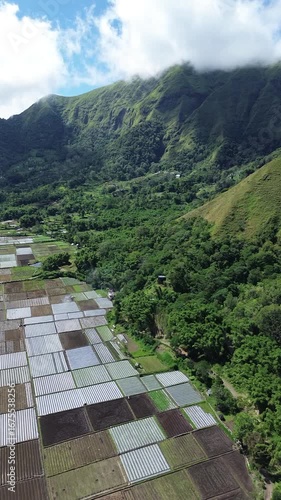 Aerial view of rice fields and mountainscape from Selong Hill, Sembalun Lawang, Lombok, West Nusa Tenggara, Indonesia.