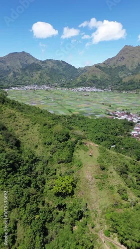 Aerial view of rice fields and mountainscape from Selong Hill, Sembalun Lawang, Lombok, West Nusa Tenggara, Indonesia.