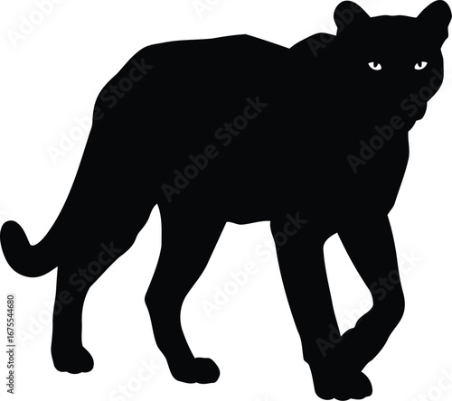 Black panther silhouette majestic predator powerful wild animal stance vector