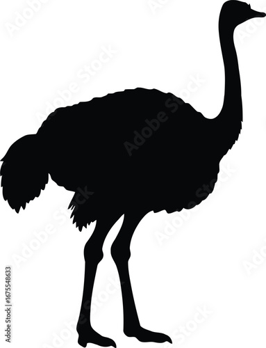 Ostrich silhouette vector graphic isolated on vector