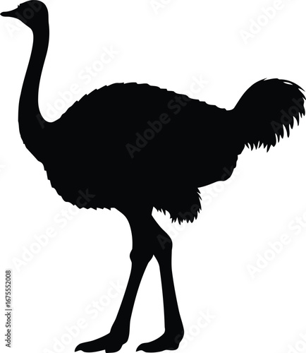 Silhouette of a majestic ostrich standing proudly side profile vector