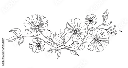 Elegant hand drawn black and white floral illustration of blooming flowers and leaves on a white background