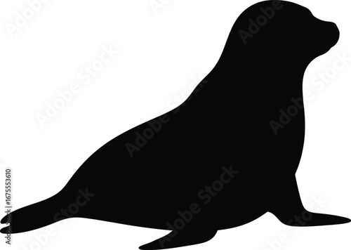 Silhouette of a cute seal pup sitting on a vector