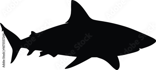 Silhouette shark majestic ocean predator powerful marine life vector