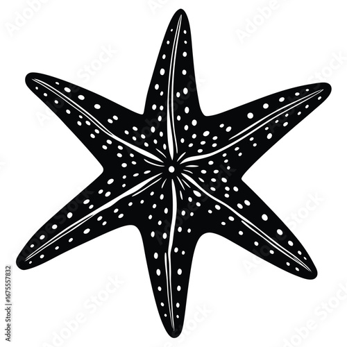 Download black and white six armed starfish vector illustration sea life ocean animal image graphic art