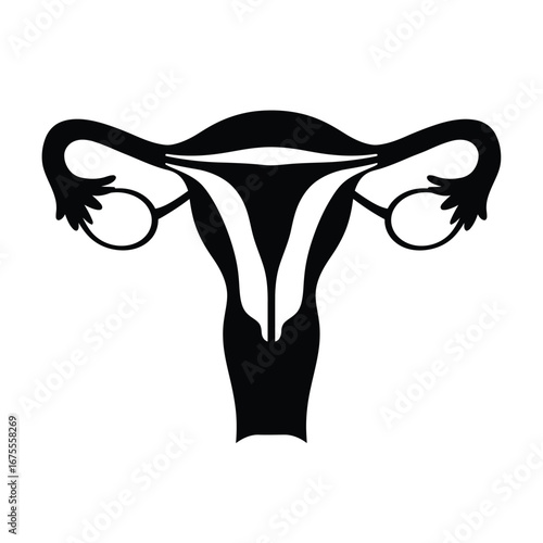 Female reproductive system anatomy diagram biological