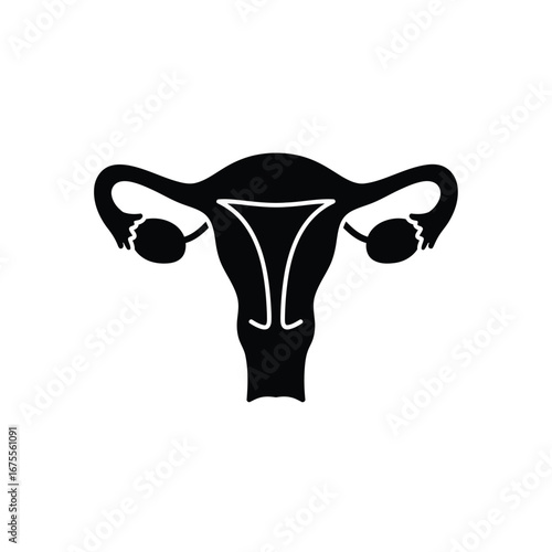 Female reproductive system organ uterus ovaries