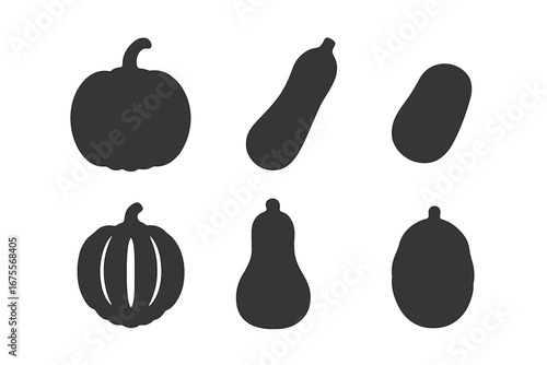 Squash and gourd solid icon set. Vector silhouette collection of various squashes. Pumpkin, zucchini, butternut, acorn, spaghetti squash. Autumn harvest vegetable graphic.