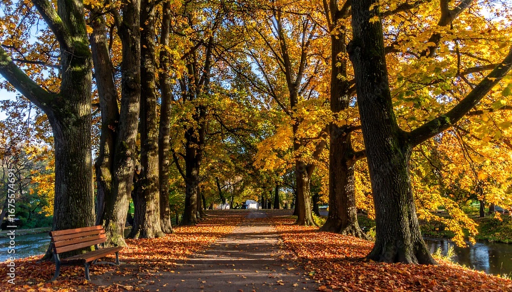 Naklejka premium Autumnal park path lined with golden trees