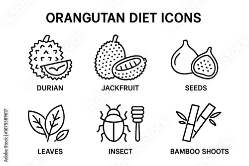 Orangutan diet food icon set. Jungle animal nutrition concept in a vector outline style. Includes exotic fruits durian, jackfruit, figs, seeds, leaves, insects, bamboo.