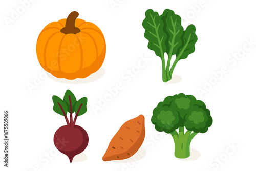 Set of organic vegetable icons for healthy eating. Isometric vector illustration of fresh farm produce. Pumpkin, kale, beetroot, sweet potato, broccoli for grocery design.