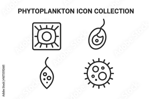 Phytoplankton outline icon collection. Vector set of microscopic marine algae. Diatom, dinoflagellate cells. Aquatic microorganism, biology, science research symbol elements.