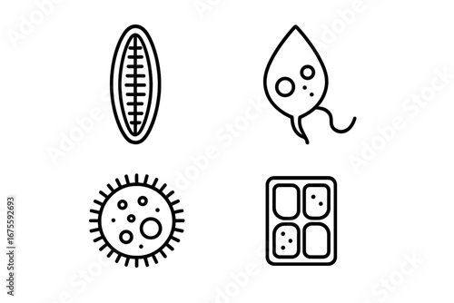 Phytoplankton icon set. Marine biology outline icons. Microscopic algae, diatom, dinoflagellate cells. Aquatic flora and microorganism vector symbols for science and ecology.