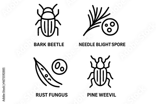 Pine tree pest and disease icon set. Forestry pathogen and insect outline icons. Bark beetle, needle blight, rust fungus, and pine weevil vector symbol collection.