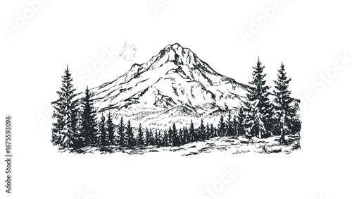 Pencil sketch of a snow-capped mountain range with pine trees in foreground. Vector hand drawn illustration
