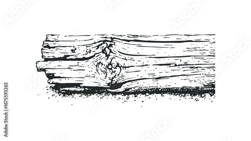 Roughly Textured Wood Grain Fragment on Transparent Background. Vector hand drawn illustration
