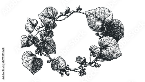 Vintage Style Black and White Floral Border with Leaves and Buds. Vector hand drawn illustration