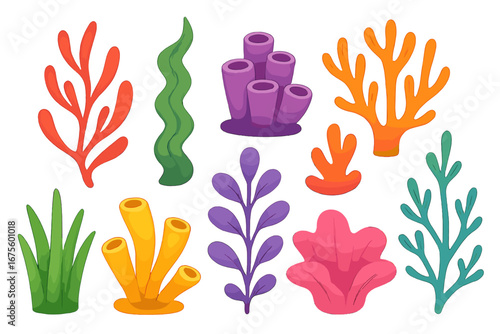 Colorful seaweed and coral set. Underwater plants vector collection. Marine life cartoon illustration. Aquatic sea ocean reef elements. Algae, seaweeds, corals design pack.