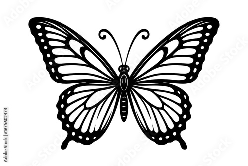 Elegant butterfly silhouette. Black and white insect line art. Symmetrical moth vector icon. Nature beauty concept. Spring summer decoration. Monarch swallowtail graphic design.