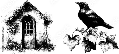Abandoned autumn house with crow and ivy - vintage hand drawn engraving collection for design