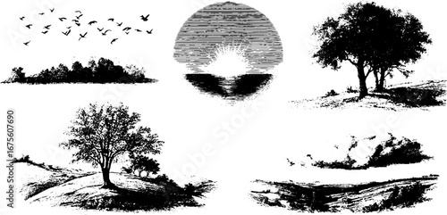 Autumn sunset illustration collection: hand-drawn trees, sun, and scenic landscapes for design purposes