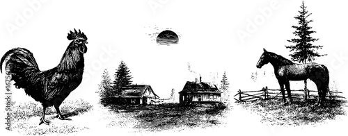 Vintage countryside morning scene with rooster and farmhouse