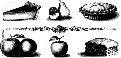 Vintage fruit and tart engraving design elements collection for retro label and woodcut art