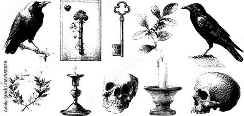 Vintage tarot and occult engraving elements collection with crow, key, candle, and skull
