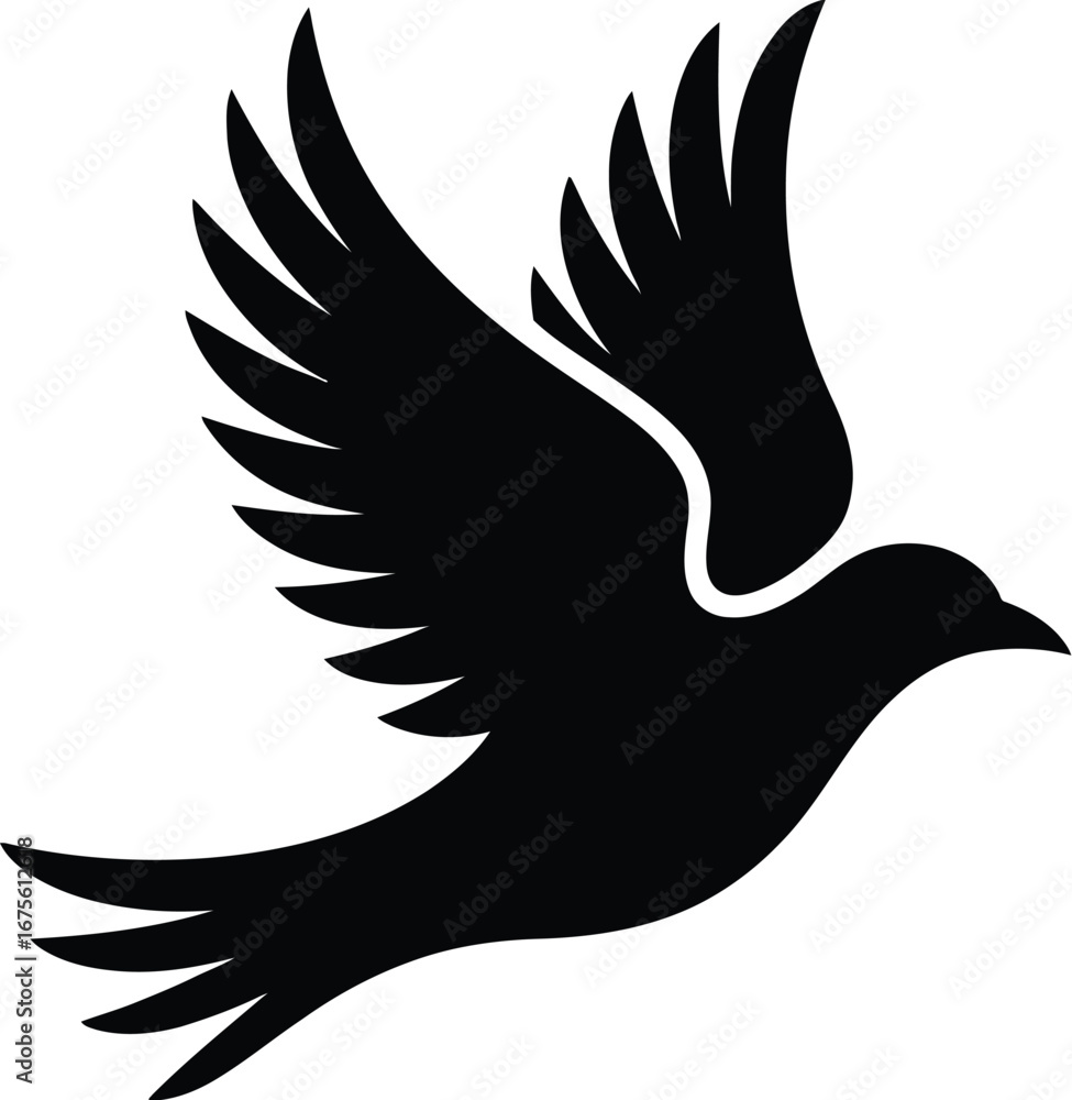 Fototapeta premium Black bird in flight flying wings