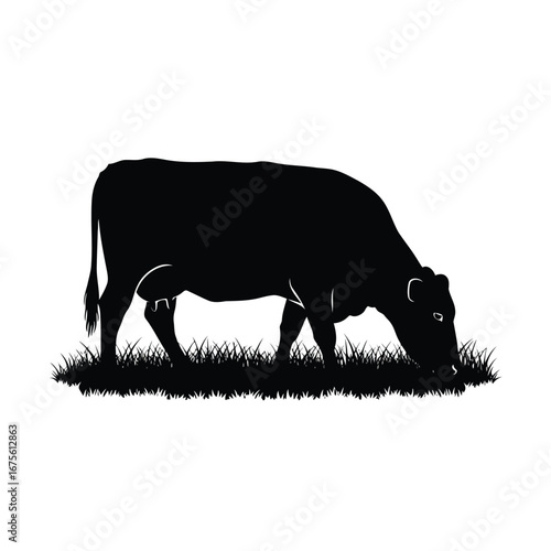 Vector illustration of silhouette of a cow grazing on grass vector