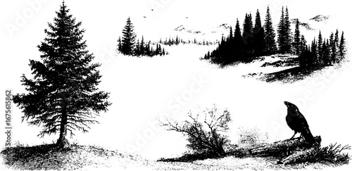 Misty autumn landscape with trees and bird in vintage engraving style - ideal for nature-themed design projects