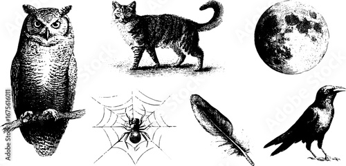Mystical night symbols collection featuring owl, cat, moon, spider web, feather, and crow for design