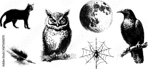 Mystical night symbols collection featuring owl, cat, moon, and more engraving for retro designs