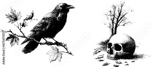 Autumn raven scene with skull and tree - vintage engraving illustration for fall decor