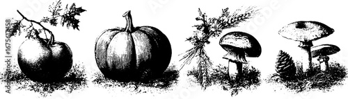 Rustic seasonal engraving of nature's bounty for decorative design